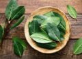 Descubre los numerosos beneficios de usar hojas de laurel en el baño
