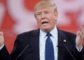 Trump y decisiones arriesgadas para su campaña política