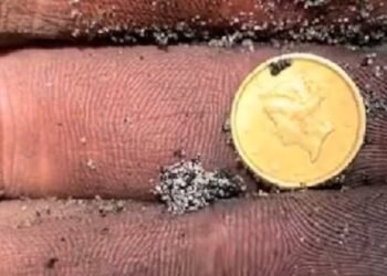 Arqueólogo ruso encuentra histórica moneda de oro en Florida utilizando detector de metales