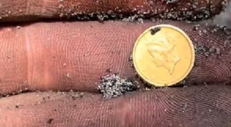 Arqueólogo ruso encuentra histórica moneda de oro en Florida utilizando detector de metales