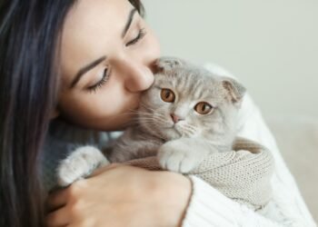 La duración del olvido de los gatos hacia sus dueños y su tiempo de recuperación