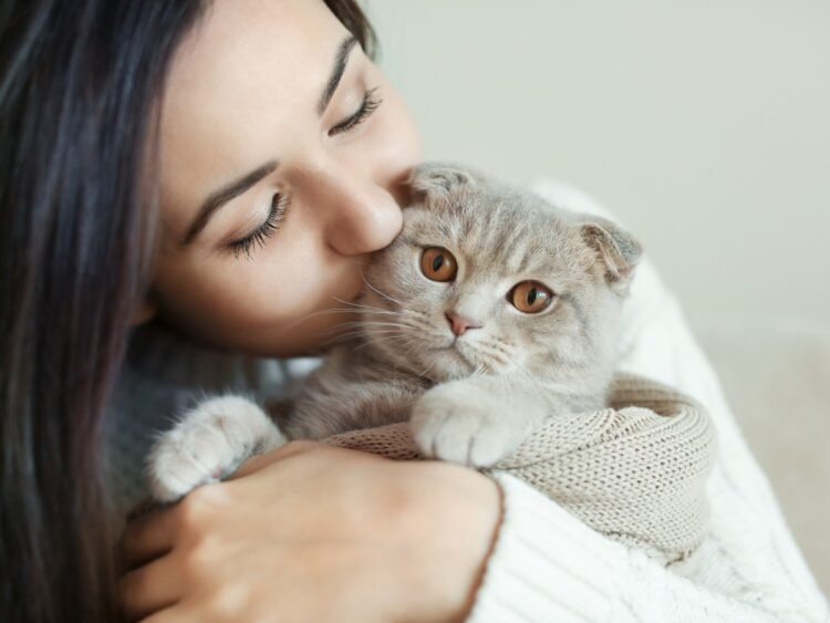 La duración del olvido de los gatos hacia sus dueños y su tiempo de recuperación