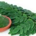 Descubre la moringa: la planta desconocida que combate el envejecimiento prematuro.