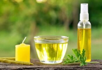 Descubre un consejo sencillo y económico para ahuyentar eficazmente los mosquitos de tu hogar