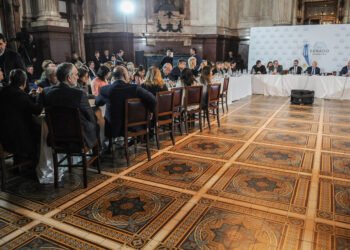 Se reactiva el debate sobre la Ley Bases en el Senado: aún sin consenso para su dictamen.