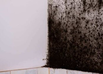 Descubrí cómo eliminar el moho negro de tu baño con tres efectivos trucos.