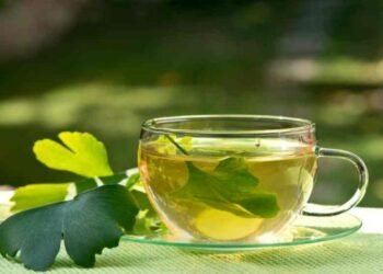 Descubren una infusión con plantas que retrasa el envejecimiento vascular y fortalece la memoria