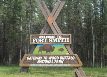 Descubre los requisitos y beneficios de mudarte a una ciudad a cuatro horas de Dallas que te paga por establecerte