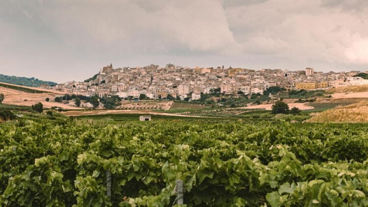 Renace un pueblo italiano llamado “Little America” después de la venta de casas por 1 euro