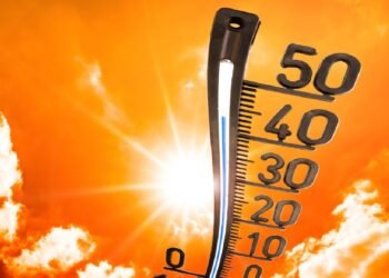 Ola de calor extremo afecta tres continentes: múltiples muertes y millones en alerta