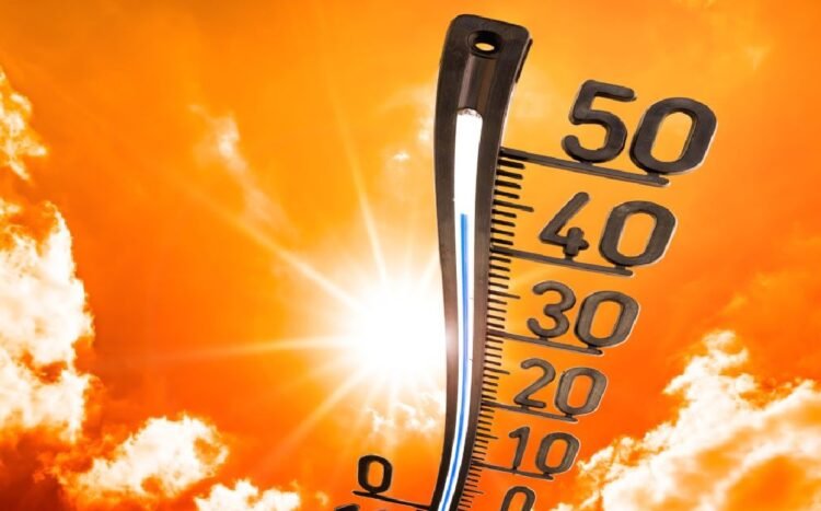 Ola de calor extremo afecta tres continentes: múltiples muertes y millones en alerta