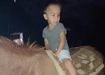 El intrigante viaje de Loan: su misterioso recorrido de 600 metros hasta la “zona cero”