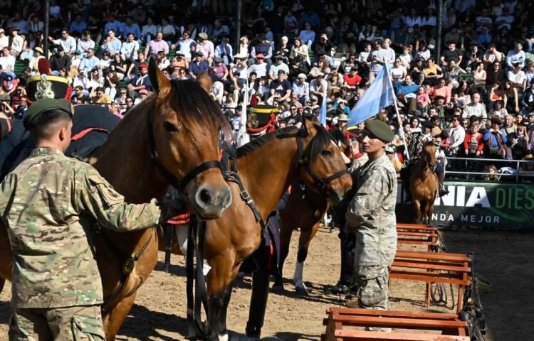 Criolla: Padrillo de raza se vende en un precio histórico de $120 millones en la Rural