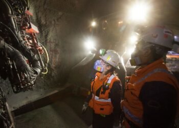 América Latina: Un potencial económico basado en sus reservas de minerales críticos y alimentos