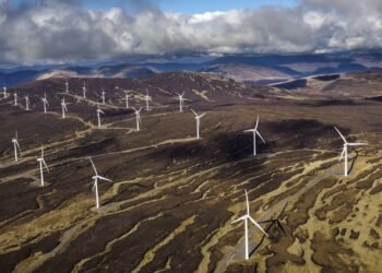 ¿Cómo puede aportar la economía verde a la crisis climática?